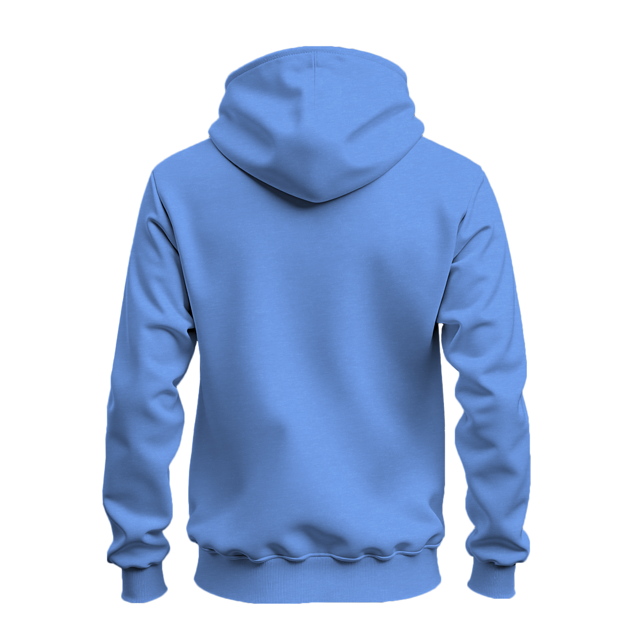 A light blue hoodie shown from the back, displayed on a clean white background.