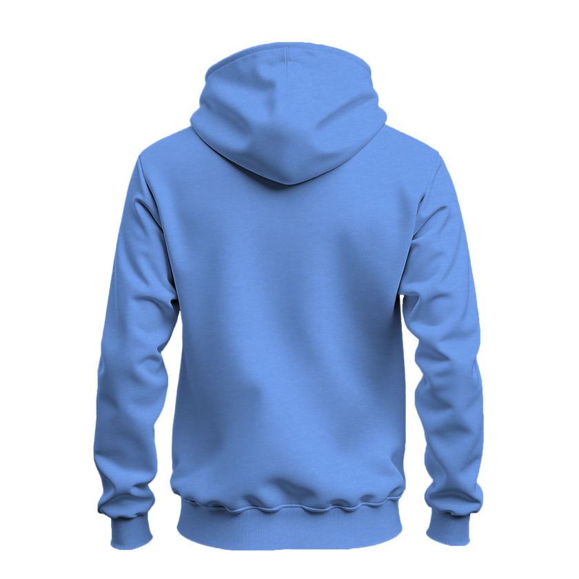 A light blue hoodie shown from the back, displayed on a clean white background.