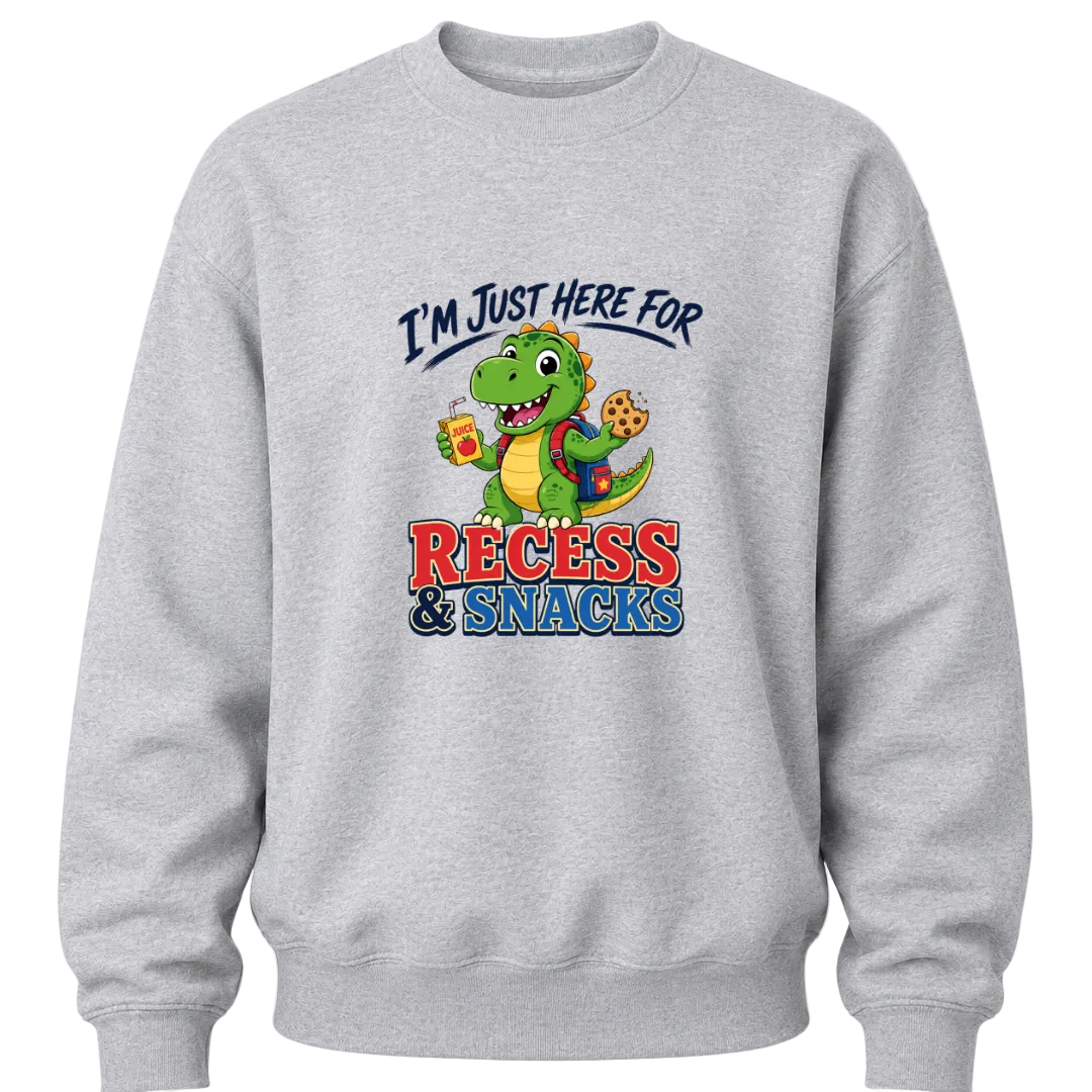 Sport grey boys crewneck sweater featuring a colorful dinosaur back to school design with funny recess and