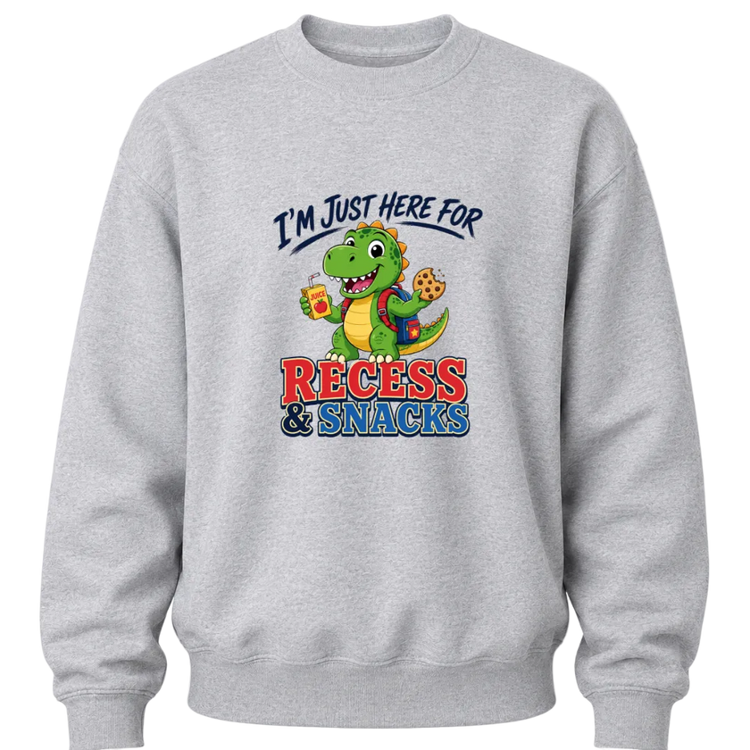 Sport grey boys crewneck sweater featuring a colorful dinosaur back to school design with funny recess and