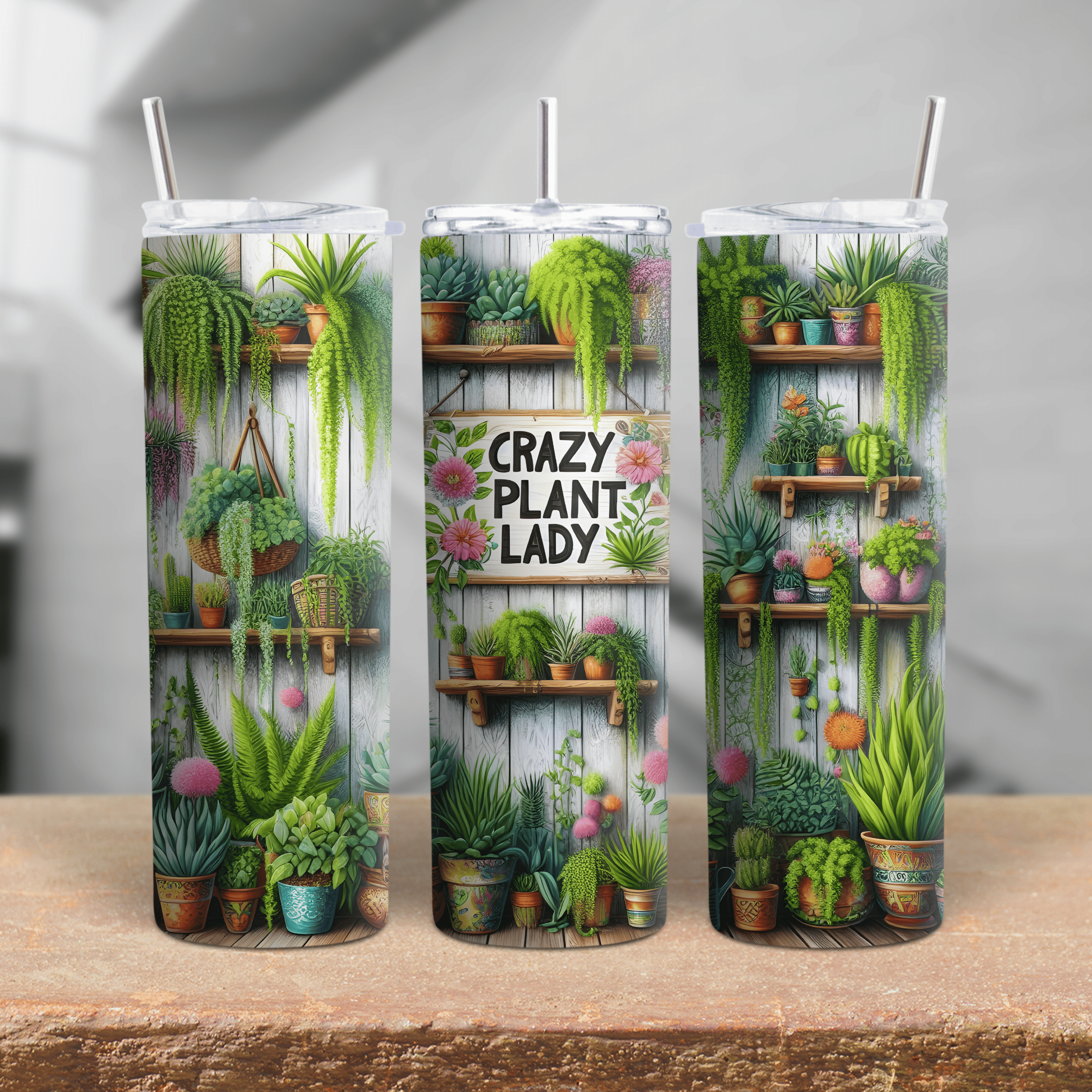 Beautiful Crazy Plant Lady wall art featuring vibrant potted plants, succulents, and ferns in colorful pots.