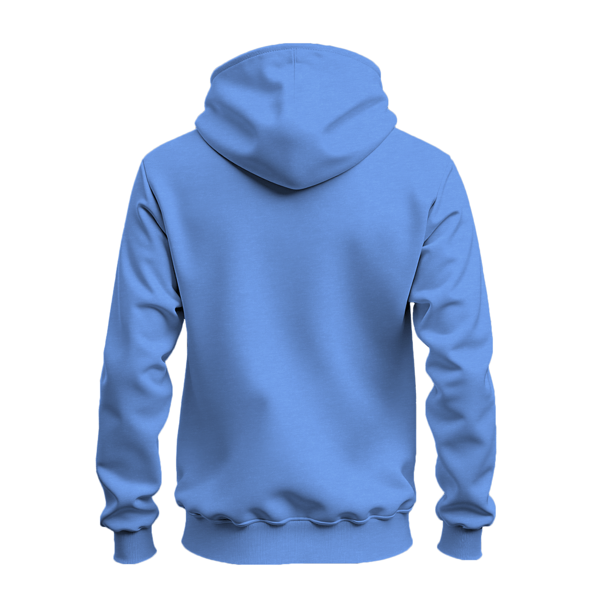 A light blue hoodie shown from the back, displayed on a clean white background.
