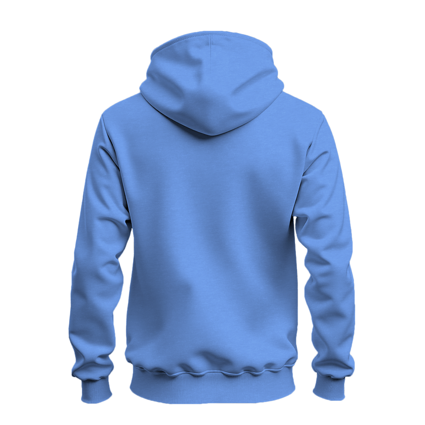A light blue hoodie shown from the back, displayed on a clean white background.