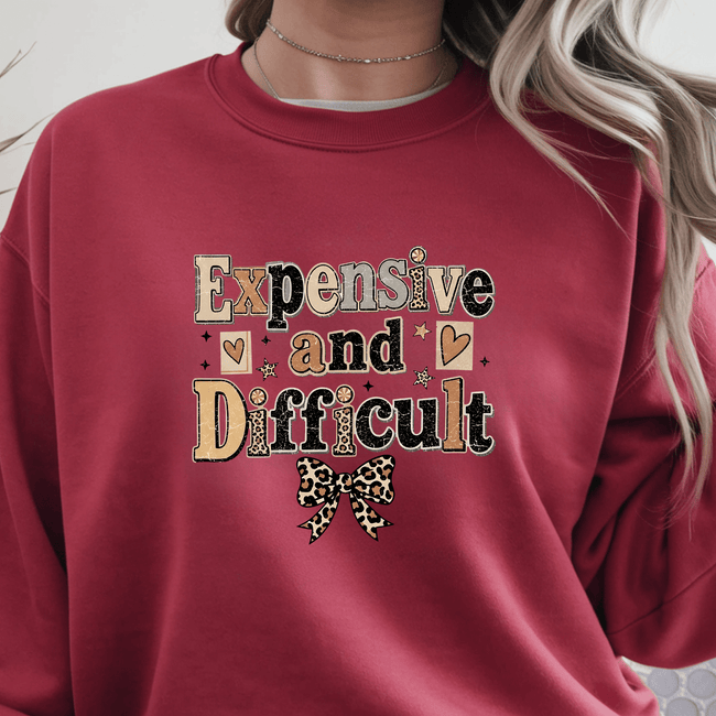 Women's trendy graphic sweatshirt showcasing Expensive and Difficult statement artwork with neutral tones, hearts, stars, and leopard bow.