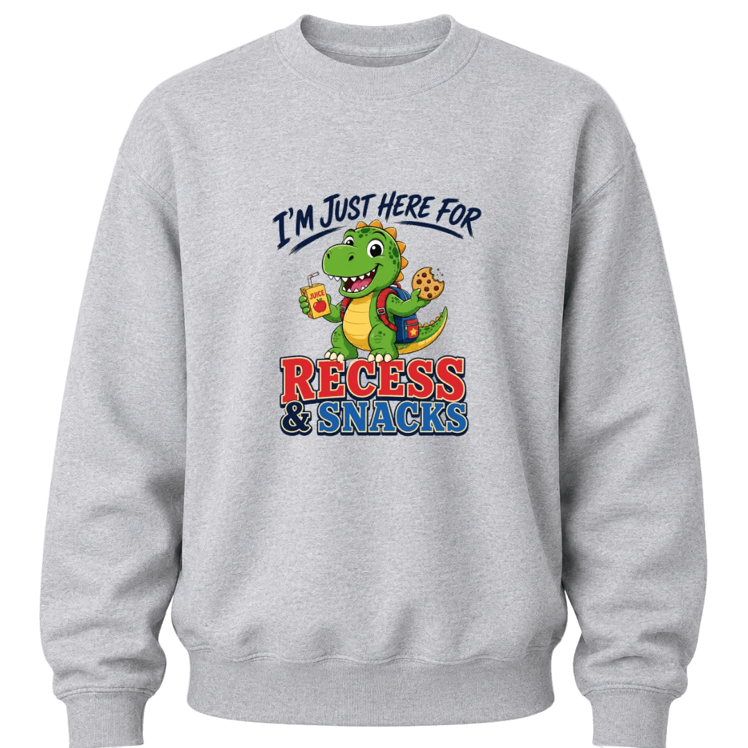 Sport grey boys crewneck sweater featuring a colorful dinosaur back to school design with funny recess and