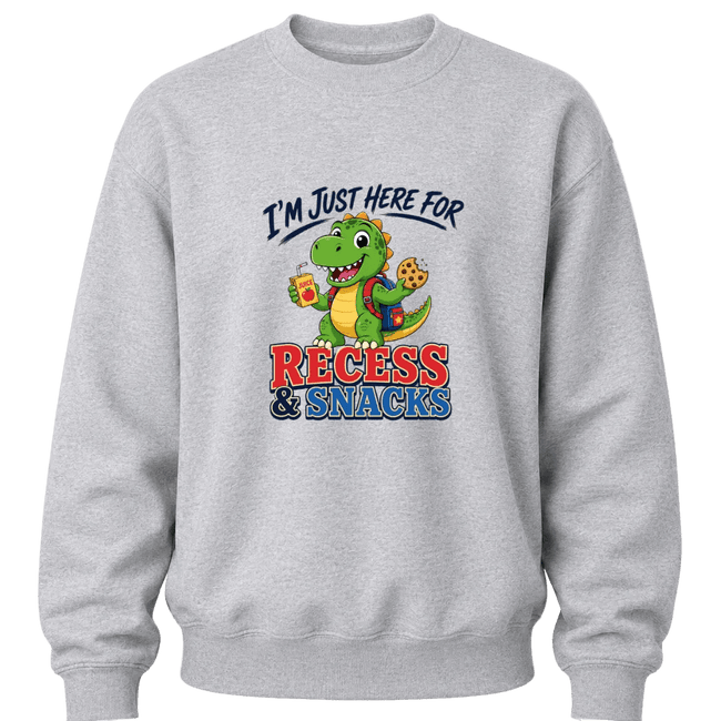 Sport grey boys crewneck sweater featuring a colorful dinosaur back to school design with funny recess and